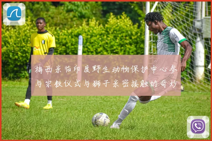 梅西亲临印度野生动物保护中心参与宗教仪式与狮子亲密接触的奇妙体验