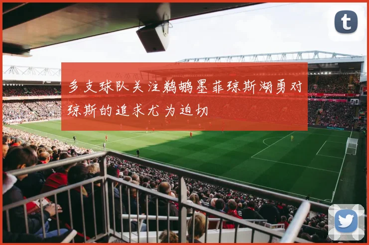 多支球队关注鹈鹕墨菲琼斯湖勇对琼斯的追求尤为迫切